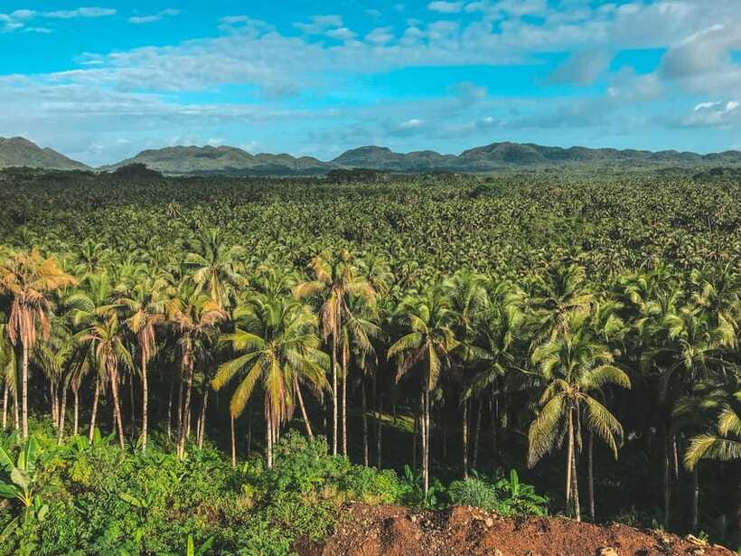 Siargao Tour D (Private Tour) - What your guide adds to the experience