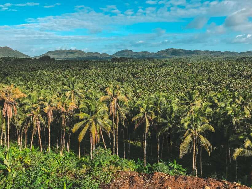 Siargao Tour D (Private Tour) - The four stops and what each adds