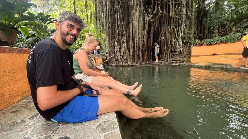 Siquijor Full day ( Private Tour ) Experience - Balate Trees and the fish-spa stop