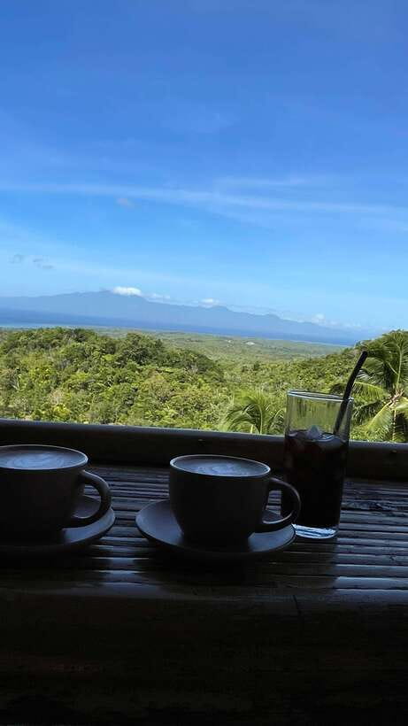 Siquijor Full day ( Private Tour ) Experience - Pickup and transport: useful, but ask a few questions