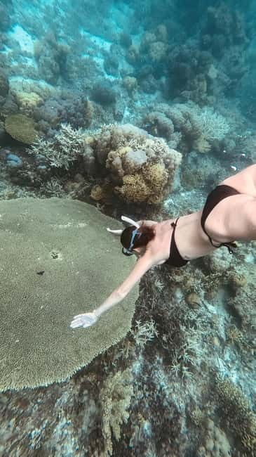 Jeepney Island Tour with Snorkeling