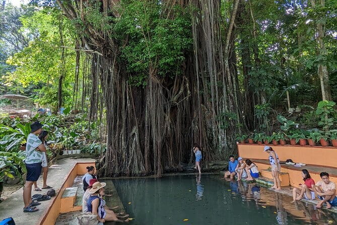 Siquijor Land Tour - The Old Enchanted Balete Tree and its fish spa