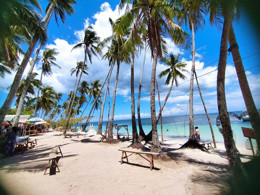 Siquijor: Siquijor Island Tour Cambugahay Falls Private - Pitogo Cliff ends the route with wide sea views