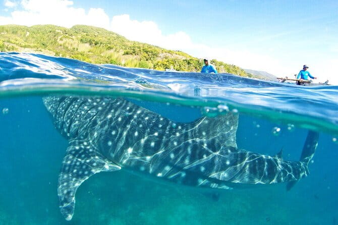 Small Group Moalboal and Badian’s Ultimate Adventure Tour - Safety, comfort, and what to bring