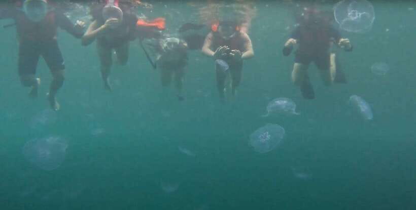 Sohoton Cove: Swim with Jellyfish & Explore Hidden Lagoons - Hagukan Cave and its changing blue water