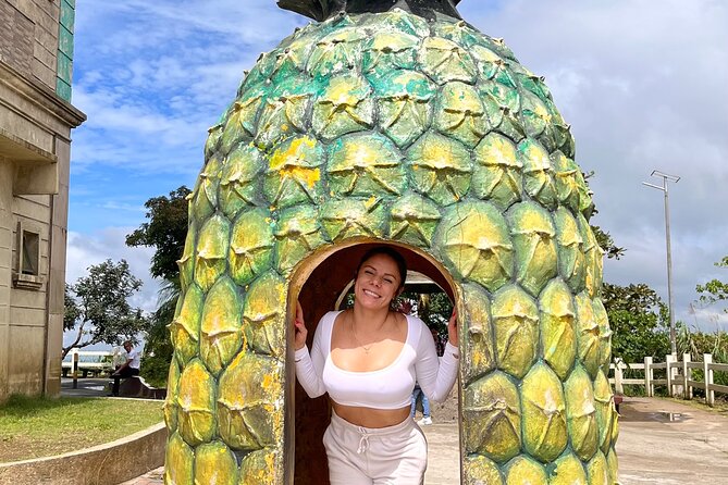 Tagaytay Day Tour sightseeing with Panoramic Taal volcano view - Fresh fruit stalls bring the first local stop
