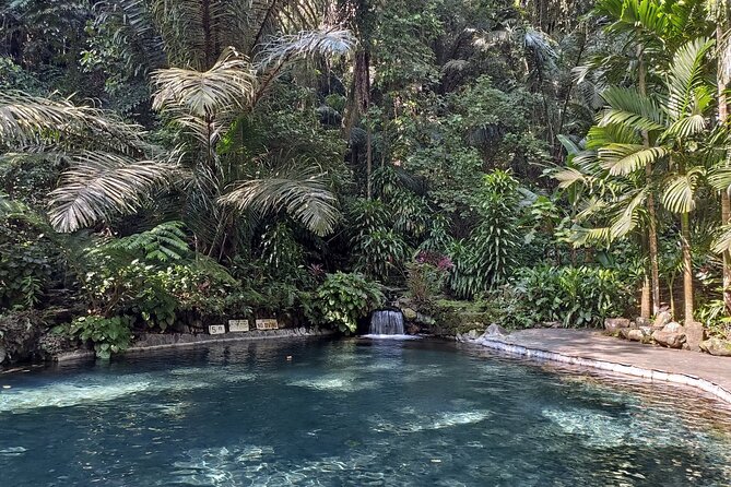 Tagaytay + Hidden Valley Springs: A Scenic Escape w/ Transfers - Who Will Enjoy This Day Most?