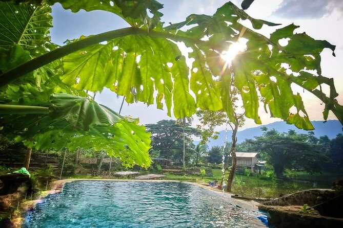 Tanay Nature Hiking Mountain Trekking Experience Near Manila - What the $199 price really covers