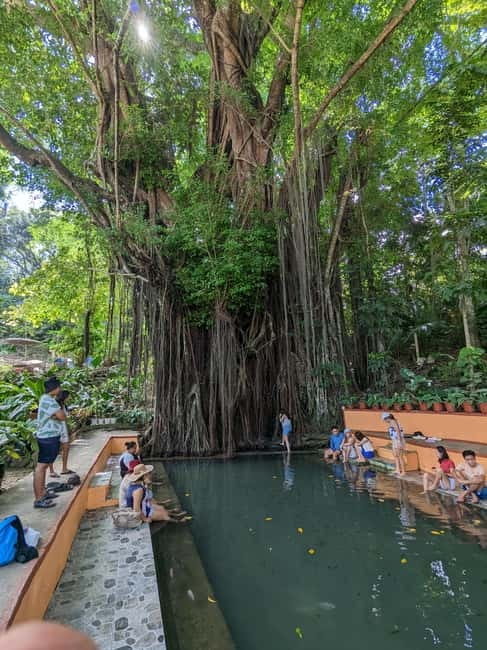 The Best of Siquijor Island Tour- Shared Tour - Key points at a glance