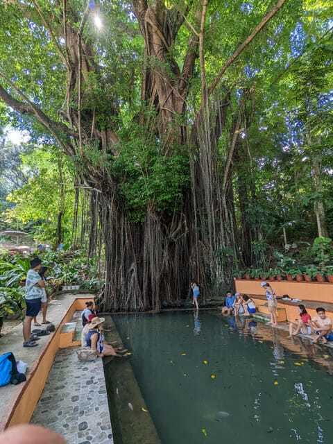 The Best of Siquijor Island Tour- Shared Tour - Cambugahay Falls: the tour’s best chance to get in the water