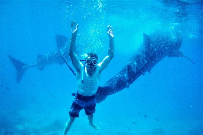 The Philippines: Bohol, Cebu & Dumaguete Area in 6 Days, 1st Class Custom Tours - Is $3,000 per person good value?