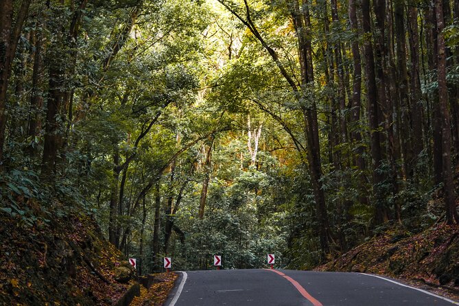 The tour of the must-see sites of Bohol - Lunch and a refreshing stop at Panga Falls