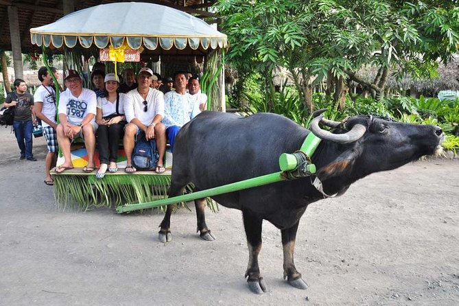 VILLA ESCUDERO DAY TOUR with Carabao Cart Ride and Bamboo from Manila - Arriving at the 800-hectare plantation