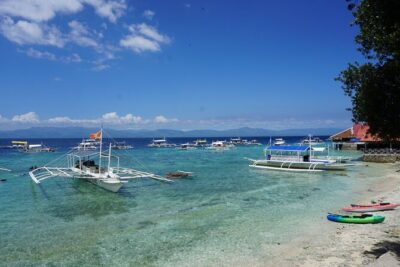 Whale Shark, Canyoneering, Sardines Run and Turtles with Transpo - Oslob whale sharks: thrilling, brief, and carefully considered