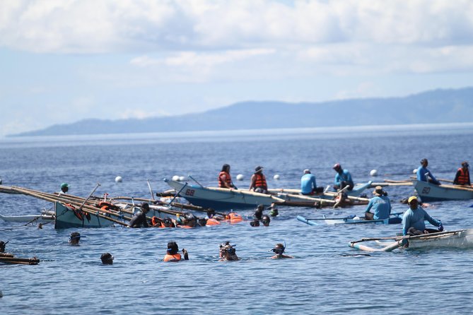 Whale Shark Swimming Experience and Aguinid Falls from Cebu - The 4 a.m. start and private ride