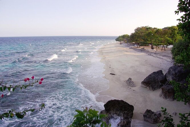 Whale Shark & Tumalog Falls & Sumilon Sandbar & Pescador Island with Sardines - Key points to know before booking