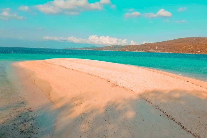 Whale Shark Watching with Sumilon Sandbar and Kawasan Falls Tour - Tumalog Falls and the optional P50 motorbike ride
