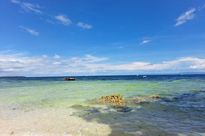 Whaleshark & Sumilon Is and Moalboal Sardines & Turtle Tour - Practical details that affect your day