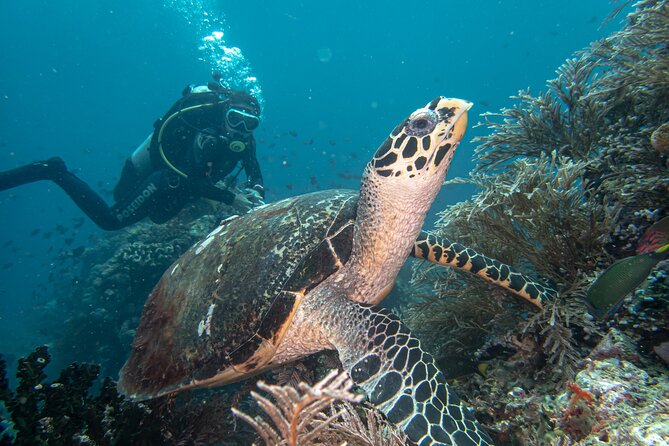 2-Day Open Water Diver Certification in Anilao - Certification Benefits