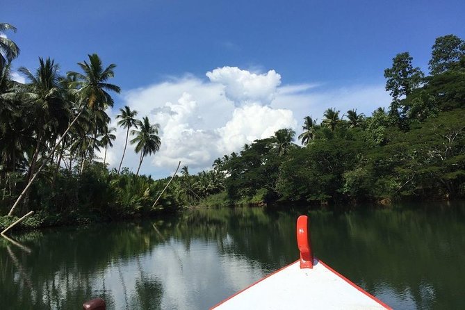 Bohol Full Day Abatan River Stand Up Paddle With Lunch - Additional Information