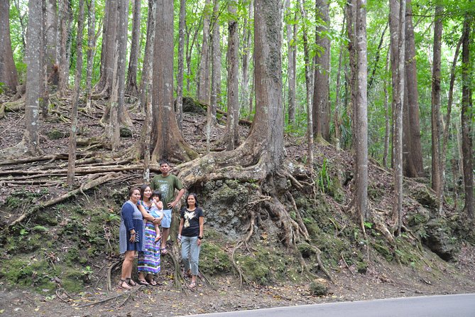 Bohol Island Countryside Tour With Buffet Lunch River Cruise (Cebu or Bohol) - Booking Information