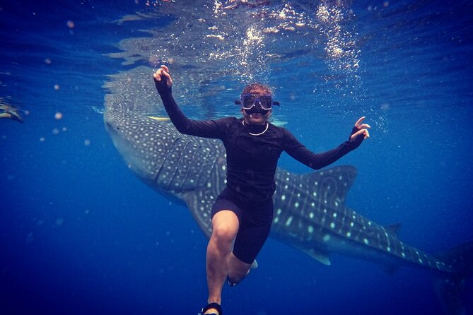 Cebu Oslob Whaleshark and Sumilon Island Full-Day Private Tour - Cancellation Policy