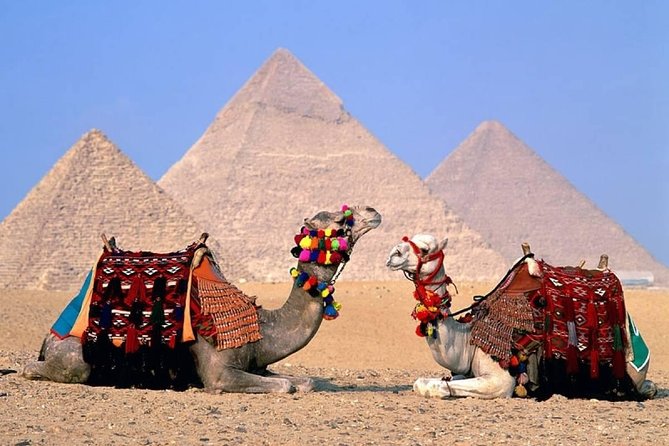 Day Tour to Giza Pyramids, The National Museum Of Egyptian Civilization & Bazzar - Booking Options and Pricing Details