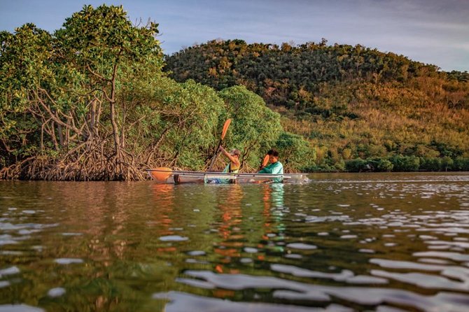 Flyfish Ride and Clear Kayak Experience in Coron - Pricing and Booking Information