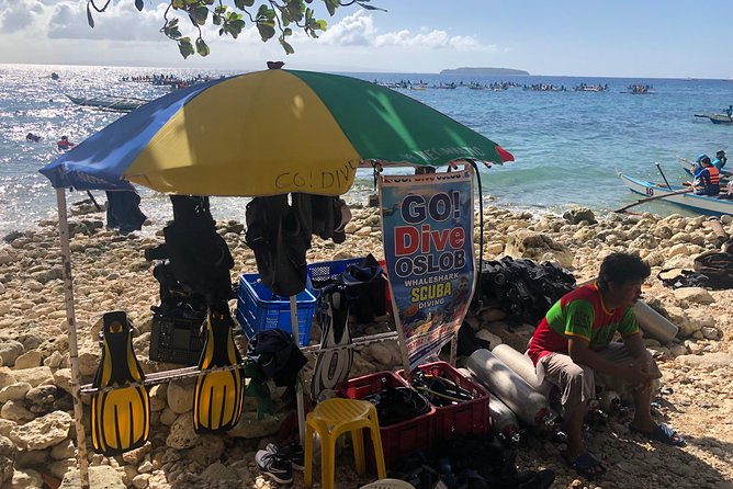 Full-Day Anda Snorkelling Tour  - Tagbilaran City - Frequently Asked Questions