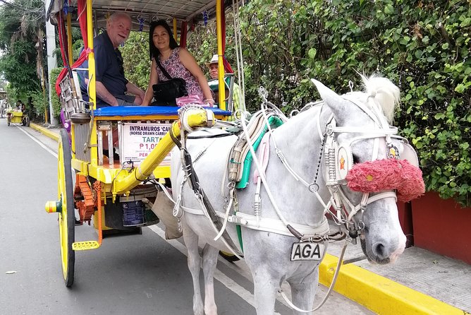 Historical Tour of Old Manila - Reviews