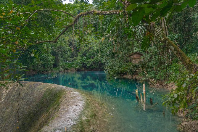 Kawasan Canyoneering, Kawasan Falls and Whaleshark Encounter - Safety Tips for Whaleshark Encounter