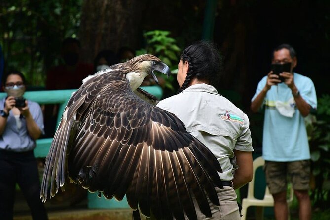 Malagos Chocolate Factory & Museum , Philippine Eagle Center - Wildlife Conservation Efforts