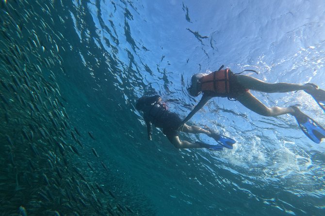 Moalboal Snorkeling and Kawasan Falls Canyoning Private Tour (Mar ) - Traveler Visuals