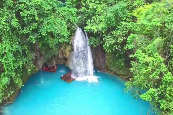 Oslob Whale Shark and Kawasan Falls Day Tour - Booking and Pricing Details