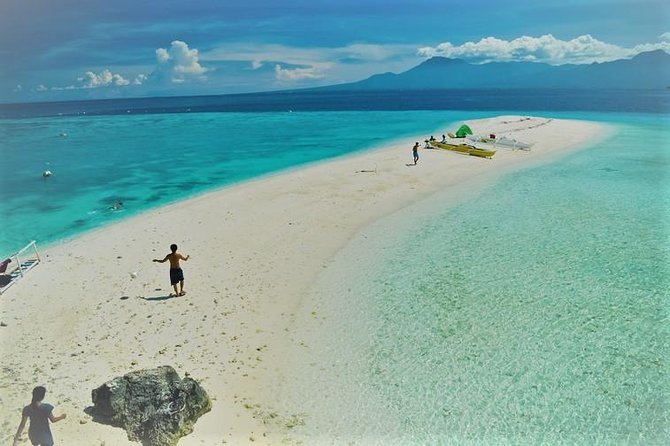 Oslob Whaleshark With Sumilon Island - Booking Process Steps