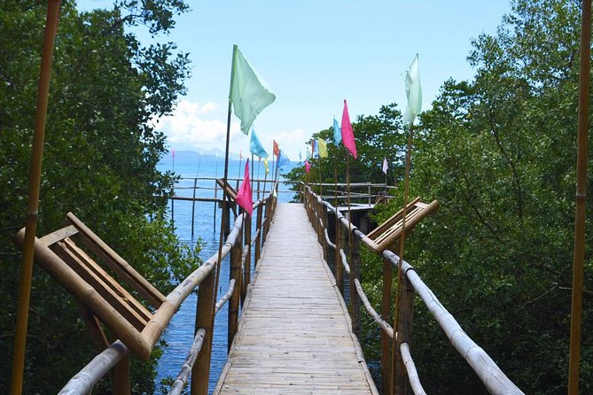 Puerto Galera Snorkeling Activities - Guided Snorkeling Tours Available