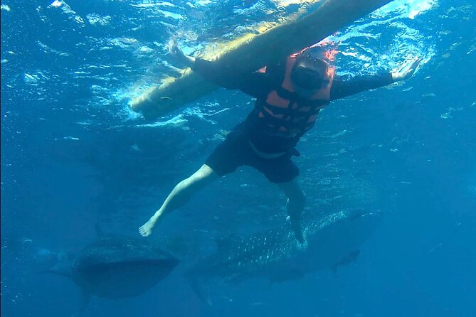 Swimming With Whale Sharks and Island-Hopping to Sumilon Island - Cancellation Policy
