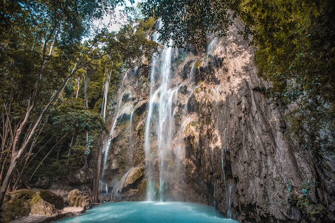 Whale Shark Encounter, Tumalog Falls and Monkey Sanctuary Tour - Booking Information