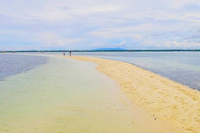 Bohol: Pamilacan Island Dolphin & Whale Watching Tour - Meeting and Pickup