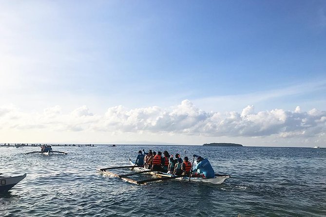 Budgeted: Bohol to Oslob Cebu Whale Shark Experience - Contacting Viator, Inc