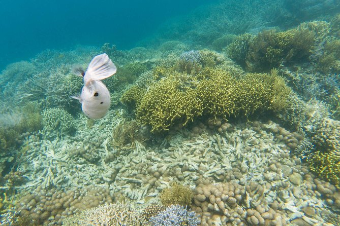 Coron Island Tour B (Private) - Lunch Arrangements