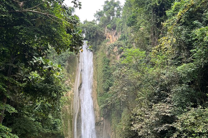 Full Day Tour to Kawasan Falls Canyoneering and Mantayupan Falls - Contact Details