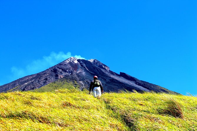 Mayon Ultimate Adventure - Summit Trail - Wildlife Encounter Tips