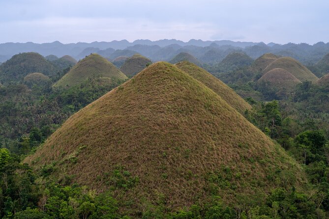 Private Tour in Bohol Chocolate Farm and Chocolate Hills - Group Size Options