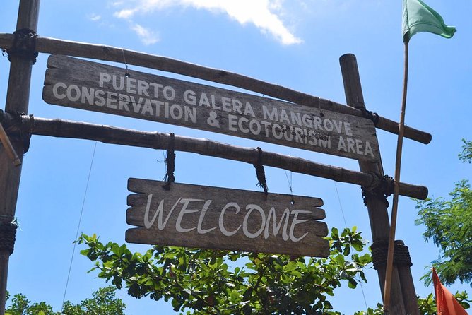 Puerto Galera Snorkeling Activities - Conclusion