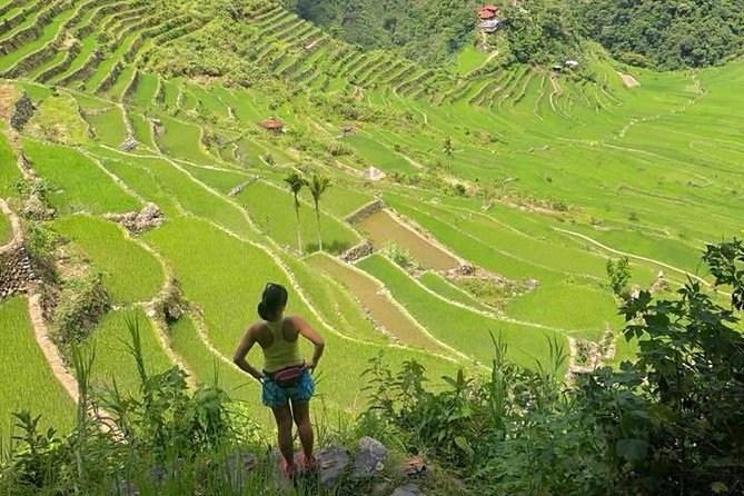 8 Days North Luzon PRIVATE TOUR Mt.Pinatubo,Banaue,Batad, Sagada,Vigan,Pagudpud - Heritage Sites in Vigan