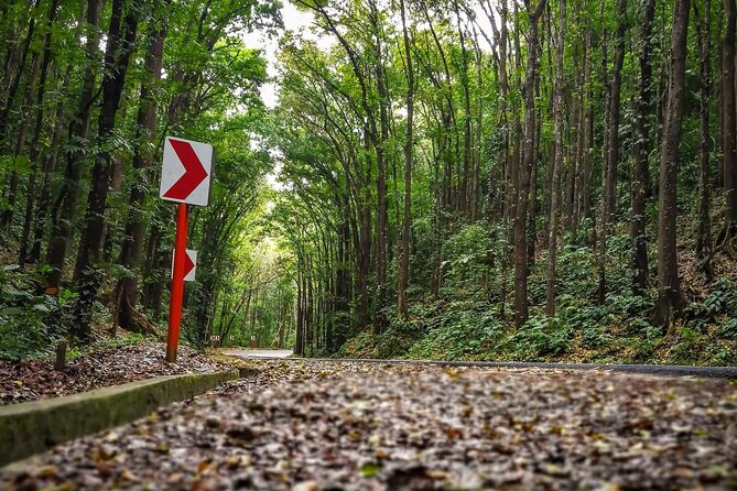 Affordable Bohol (Tarsier & Chocolate Hills Tour) - Booking Information