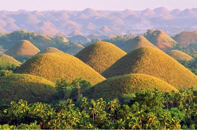 Cebu to Bohol Day Trip With Loboc River Lunch - Return to Cebu