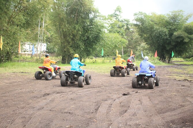 Chocolate Hills Tarsier Tour & ATV With Loboc River Buffet Lunch - Safety Guidelines