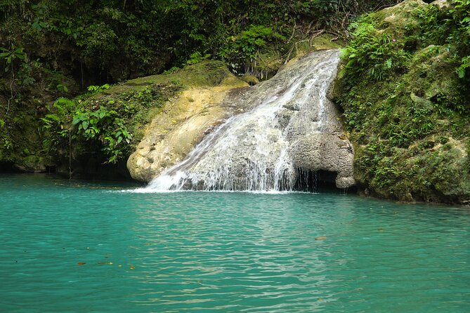 Full Day Private Tour Osmeña Peak and Kawasan Falls Canyoneering - Important Contact Information